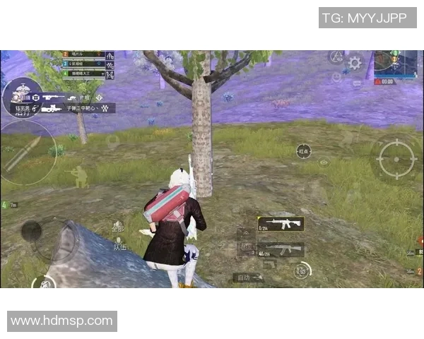 从零开始掌握和平精英技巧与策略全解析助你成为游戏高手实时数据